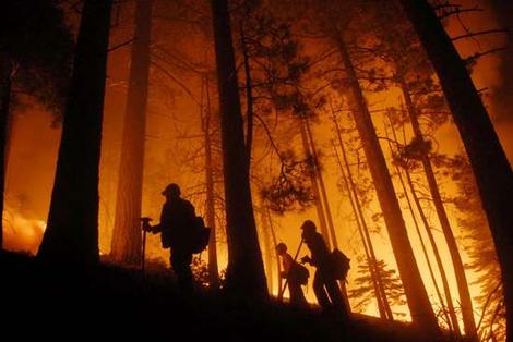 Incêndios: Fogo em floresta em Oleiros mobiliza 214 homens - Proteção Civil